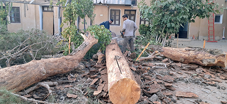 Նոր Ջուղայի 《Ս. Յովհաննու Կարապետ》  եկեղեցու տարածքում իրականացւել են ծառահատման աշխատանքներ